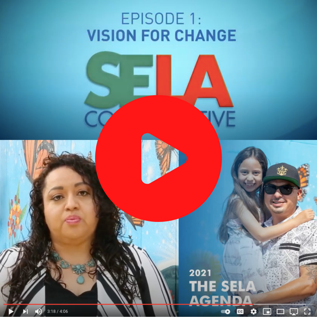 SELA's Vision for Change